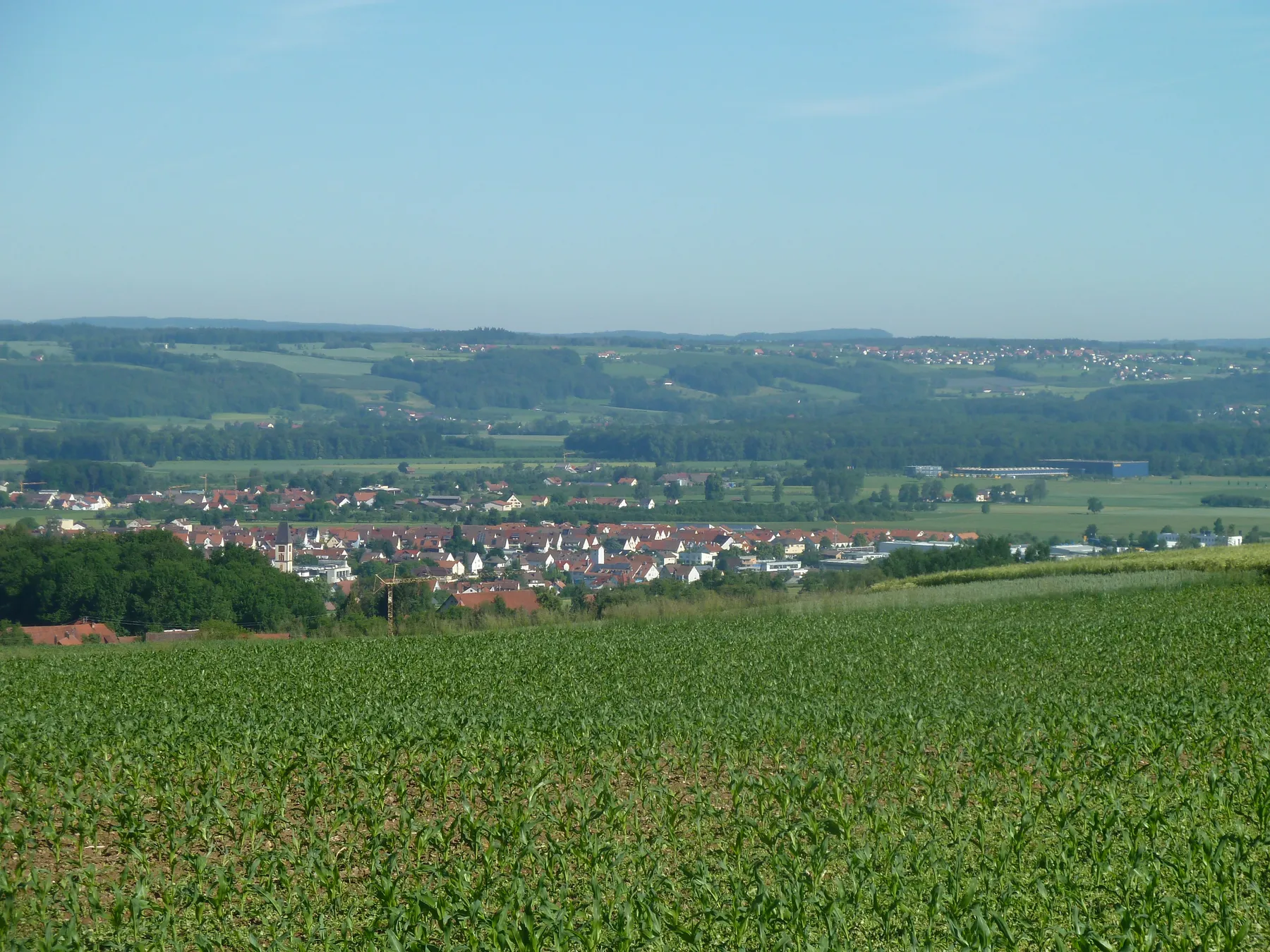 P1000320.JPG
