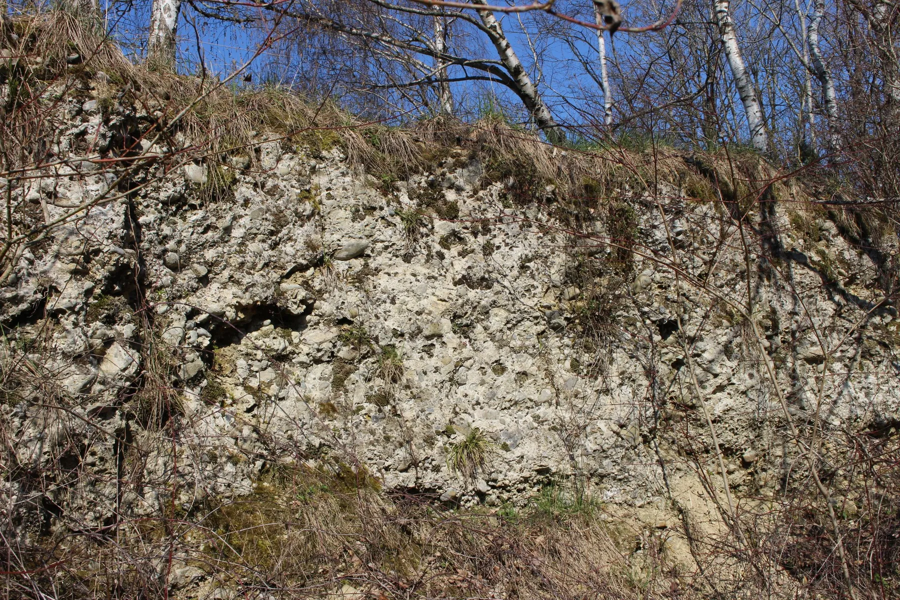Deckenschotter_Bodanrück.JPG